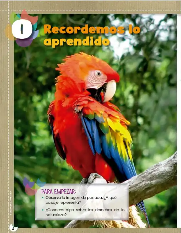 Cuaderno de Trabajo Integrado 5 EGB