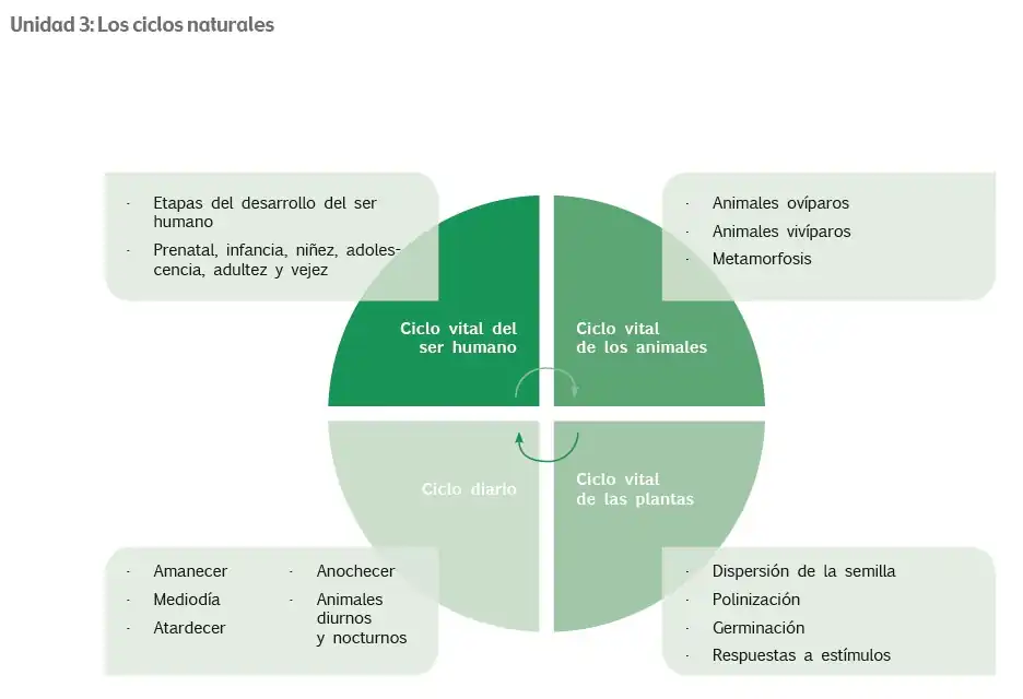 Texto Resuelto de Ciencias Naturales 2 EGB