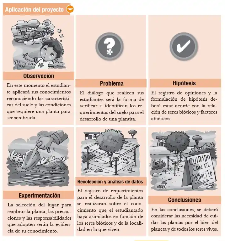 Texto Resuelto de Ciencias Naturales 7 EGB