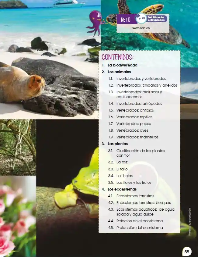 Texto de Ciencias Naturales 5 EGB