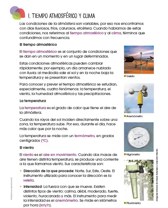 Texto de Ciencias Naturales 6 EGB